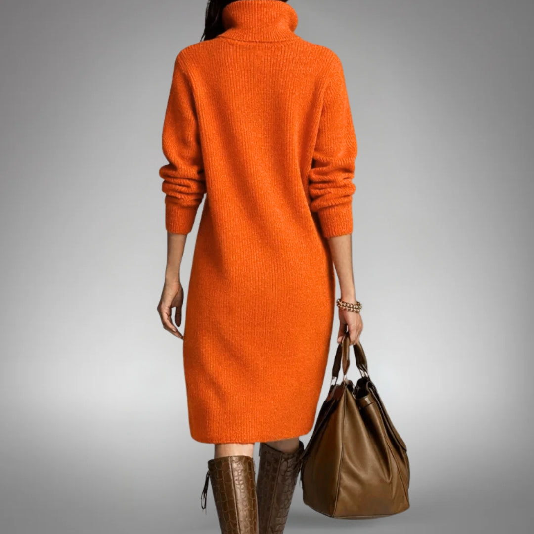 Naomi | Sophisticated High Neck Dress 3