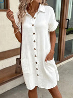 Araminta | Timeless V-Neck Blouse Dress 4
