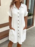 Araminta | Timeless V-Neck Blouse Dress 6